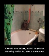 Демотивируй