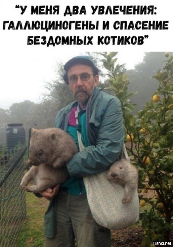 Она думала, что спасла милого котенка, а оказалась это ягуарунди