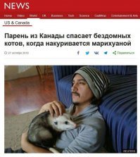 Она думала, что спасла милого котенка, а оказалась это ягуарунди