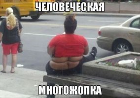 «SOS! Help!»: 15 человек, животных  и предметов, которые умоляют их спасти