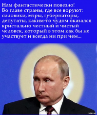 Как погибла тисо-самшитовая роща в Хосте