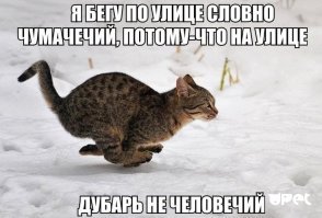 Собрать в упряжку оленей. Ямал. Край Земли