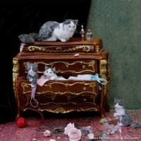 Кошечки от Kerri Pajutee