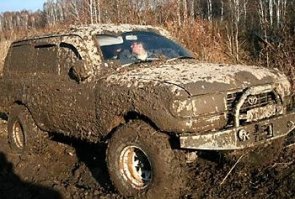 исключительно для джентльменов с отменным вкусом: экологично, органично и недорого.