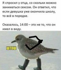 Омская школьница жестоко отомстила парню, который её бросил