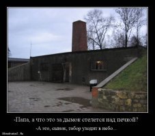 Как живут ирландские цыгане: суровая романтика современных кочевников