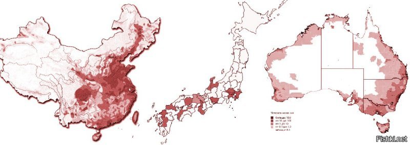 Насчет последней карты - судя по всему, отделение северо-запада китая, центральной австралии, северной японии, не говоря про 70% американских штатов с двумя неграми на 100км - тоже вопрос ближайшего времени