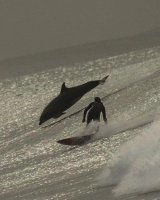 - Отличный кадр !!!