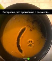 Что, что... Замёрзла и ушла -- вот что!  ))