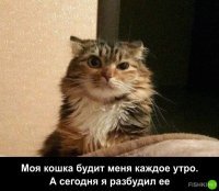 "Ты долбанулся, что ли, человек?"