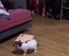 зато красивый.