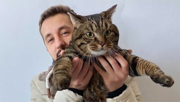 Тоесть кота значит не пустили из-за лишнего веса, а эту тушу, которую для баланса лучше в середине салона укладывать - без проблем?) 
Л - логика