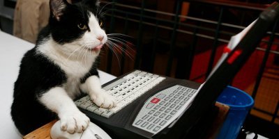 Сдаётся мне, я знаю, кото ))) скрывается под ником "СуперВован"...