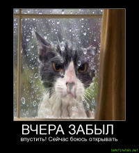 Прикольные и смешные картинки