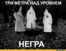 Испепелили и правильно бы сделали. Не велика была бы потеря.