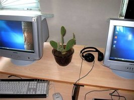 Плюс противорадиационный кактус был обязателен.