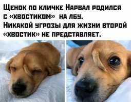 Тадаммммм....