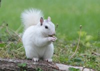 Прикольные и смешные картинки