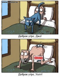 Хозяйка, ты чего?