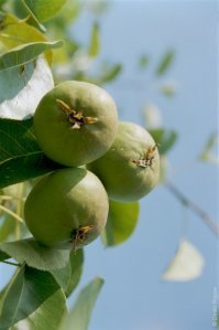 Привет из юности.