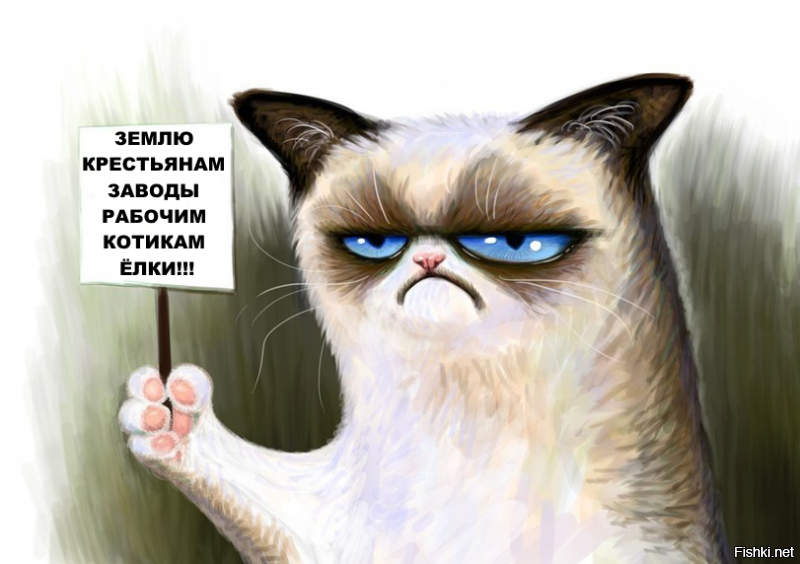 Прикольные и смешные картинки