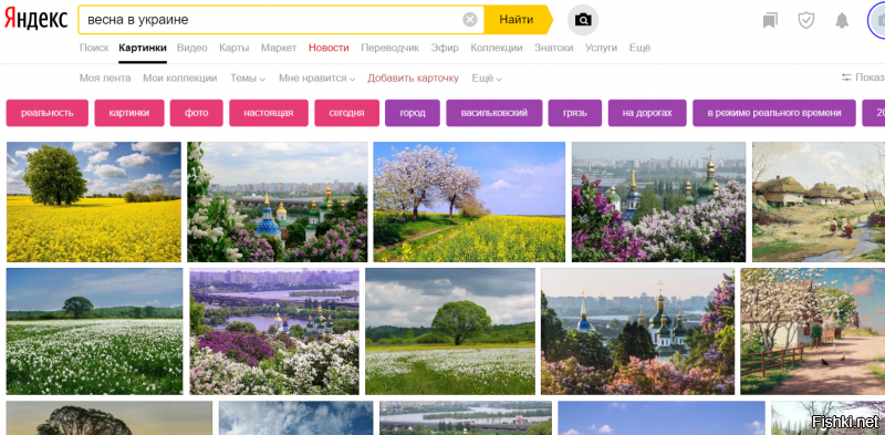 "гуглим" весна в Украине (Яндекс и Гугл)