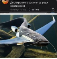 То они сома рожают, то хромосомы считают, а теперь и сомолеты