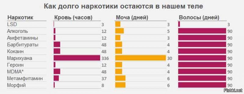 Неэффективно и затратно, или Зачем неоправданно усложнять получение водительских прав