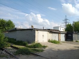 у нас на гаражах стая бегает