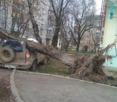 А че карма, владелец все равно засудит владельца земли, по любому. В суде не отмажешься "он же ж ПЕРВЫЙ нарушил..." как в детском саду. Он заплатит штраф тысячу, но получит сотню. 
А второй вообще попутал берега, ему за вымогательство может реальная статья прилететь. Придет с меченными купюрами, отдаст, а тут из-за кустов "двое из ларца, одинаковых с лица", им только в радость статистику улучшить.