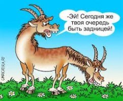 Подборка автомобильных приколов