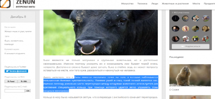 Позитивный инстаграммер показывает правду о фотографиях в социальных сетях