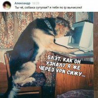 Прикольные и смешные картинки
