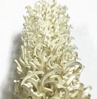 Вот вам ещё необычные ёлки, каждый день наряжаем, вся в серебре