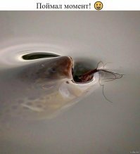 Фотоподборка с "вау" эффектом