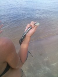 Волгоградская область, река Ахтуба
не люблю змей, а вот подруге пофиг.