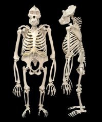 Прикольные комментарии