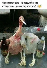 Алкопост на вечер этой пятницы