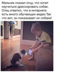 Прикольные и смешные картинки