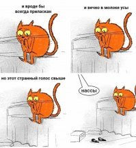 Смешные картинки из соц.сетей