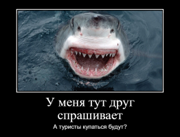 Полное погружение: в Австралии откроют первый подводный отель