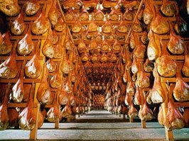 300 свиней в придачу к красавице!