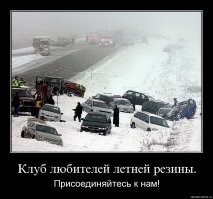 Шипы или липучка?