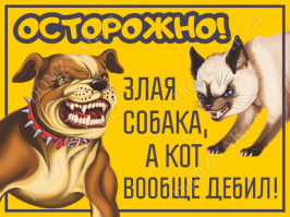 Подборка интересных и веселых картинок