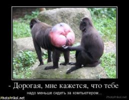 Вот вам про животных...