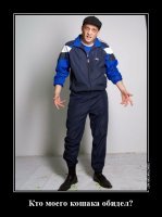 Самая маленькая дикая кошка на планете - само очарование!