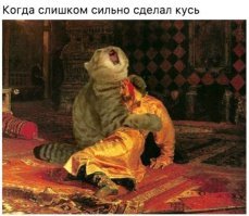 Картинки с надписями