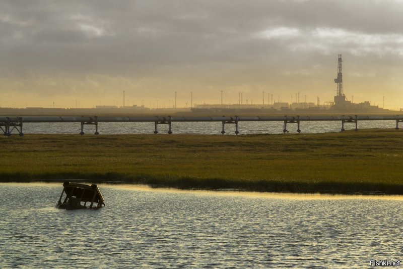 Бованенково - Обская пару раз катался.
В Сабетте Ямал СПГ строил, в Харасавэе был в августе-сентябре\
фоты в последовательности Бованки-Сабетта-Харасавэй по 2шт