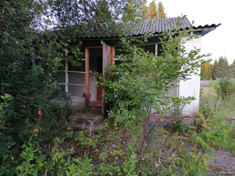 Пионерский лагерь "Ленок" (был) Ивановская область. Фото 2019 г.