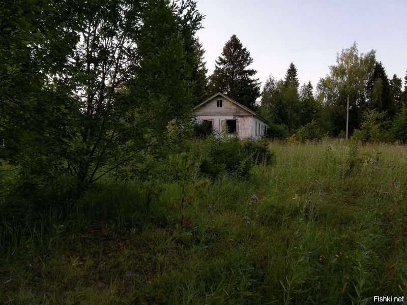 Пионерский лагерь "Ленок" (был) Ивановская область. Фото 2019 г.